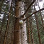 Hättens gern an spontanen Kaffee? Hättens gern an spontanen Kaffee?