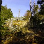 Ok, der Bärenriegel könnte lohnend sein