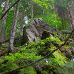 Und wieder ein Dreitausender im Mikroformat Und wieder ein Dreitausender im Mikroformat