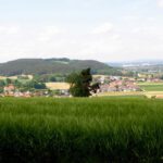 Bubach an der leicht hochwasserführenden Naab Bubach an der leicht hochwasserführenden Naab