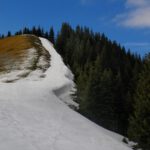 Nicht gerade mickrig, diese Seitenwächte