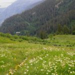 Da unten wäre ich langgekommen wenn ich die empfohlene Runde gegangen wäre Da unten wäre ich langgekommen wenn ich die empfohlene Runde gegangen wäre