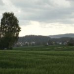 Störnstein im Regen