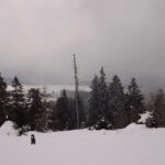 Ist das der Albrechtschachten?