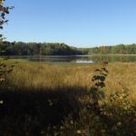 Wackersdorfer Weiher