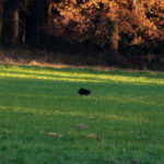 Das hatten wir doch erst letztes Mal