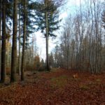 Gleich oben Gleich oben