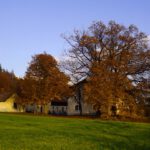 Gasthaus hinter Kastanien