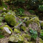 Nordwestabbruch Nordwestabbruch