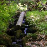 Missverstandene Holztrift Missverstandene Holztrift