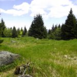 Ob das mal ein Schachten war?