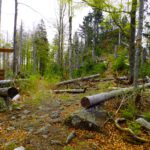 Am Abzweig kann man schon erkennen, warum diese Kanzel als Große bezeichnet wird Am Abzweig kann man schon erkennen, warum diese Kanzel als Große bezeichnet wird