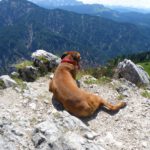 Sonnenanbeterin am Gipfel