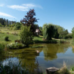 Eckertweiher mit der Sebastiankapelle