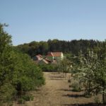 Büchelberg hinter Büchelberg