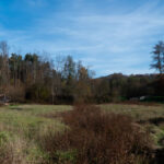 Gambachtal oberhalb von Löchl