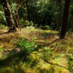 Steiler Abbruch Steiler Abbruch