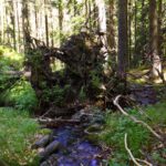 Kampf der Erdelementare Kampf der Erdelementare