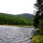 Erster Blick auf den Großen Arber