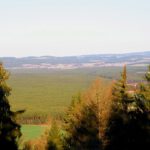 Direkt im Osten liegt Wernberg-Köblitz