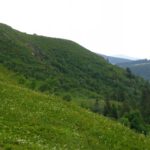 Bei dieser Hangneigung ist es kein Wunder, dass es jedes Jahr am Feldberg Lawinentote gibt Bei dieser Hangneigung ist es kein Wunder, dass es jedes Jahr am Feldberg Lawinentote gibt