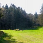 Aufmarschfeld für die Doostgeister