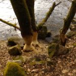 Baumaterialbeschaffung