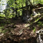 Dieses Mal bin ich nicht hier abgebogen