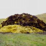 Nicht ganz so hoch wie der im Muotatal...