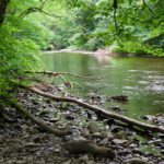 Wenn nicht 2 Meter links die Touristenautobahn vorbeiginge, könnte man hier auch noch einmal die Ruhe genießen Wenn nicht 2 Meter links die Touristenautobahn vorbeiginge, könnte man hier auch noch einmal die Ruhe genießen
