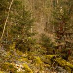 Ostern und Weihnachten an einem Tag