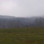 Das sah im Mai etwas anders aus Das sah im Mai etwas anders aus