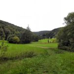 Zurück im Hirschbachtal
