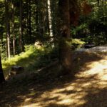 Alte und neue Quellfassung Alte und neue Quellfassung