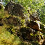 Felsquellung Felsquellung