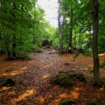 Höchster Punkt voraus