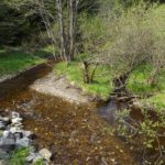 Die junge Křemelná Die junge Křemelná