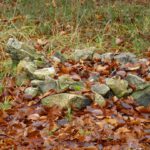 Feuerstelle mitten im Wald?!? Feuerstelle mitten im Wald?!?