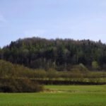 Man ahnt gar nicht, wie interessant es unter dem Tarnmantel Wald aussieht