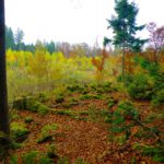 Nein, das ist nicht der Hirtenberg Nein, das ist nicht der Hirtenberg