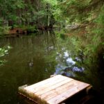 Mühlweiherspiegelungen