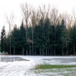 Gefrorenes Schmelzwasser Gefrorenes Schmelzwasser