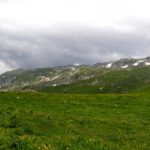 Aufgrund der wieder aufziehenden Wolken erscheint mir der Weg nach Süden doch sicherer Aufgrund der wieder aufziehenden Wolken erscheint mir der Weg nach Süden doch sicherer