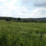 Naturschutzgebiet Na požárech