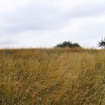 Irgendwo da oben ist der tatsächliche Gipfel