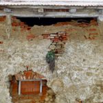 Ok. Die Magie des Kräuterschopfes hält also hier das Mauerwerk zusammen. Interessant.