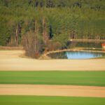 Oberpfälzer Teichwirtschaft