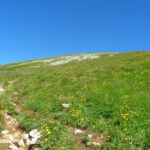 Und schon ist das Gipfelplateau erreicht Und schon ist das Gipfelplateau erreicht