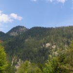 Noch ein Teil der Seeumrahmung