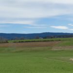 Ottengrüner Panorama